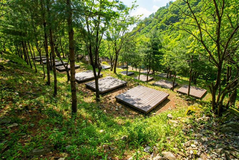야영데크 